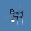 The Bright Spot