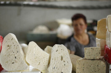 Top Armenian Cheese Producers